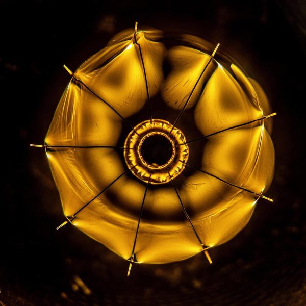 Entry requirements application